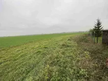 Prodej pozemku, Opolany, 1293 m2
