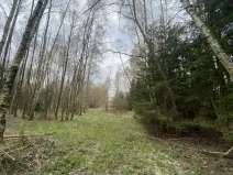 Prodej pozemku, Volfířov - Brandlín, 5958 m2