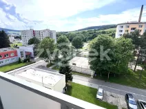 Pronájem bytu 2+1, Brumov-Bylnice, Družba, 56 m2