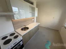 Pronájem bytu 1+1, České Budějovice, Dubenská, 44 m2