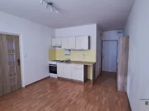 Pronájem bytu 1+1, Ústí nad Labem, Šípková, 32 m2