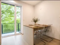 Pronájem bytu 2+kk, Mladá Boleslav, Nad Červenkou, 37 m2