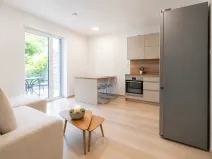 Pronájem bytu 2+kk, Mladá Boleslav, Nad Červenkou, 37 m2