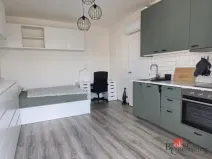 Pronájem bytu 1+kk, Brno - Trnitá, Křenová, 28 m2