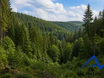 Prodej lesa, Zlatníky,, 7215 m2