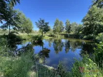 Prodej komerčního pozemku, Břeclav - Poštorná, 4463 m2