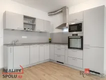 Prodej bytu 2+kk, Plzeň - Jižní Předměstí, Železná, 81 m2