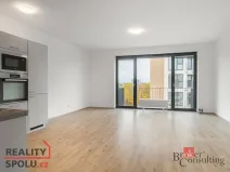 Prodej bytu 2+kk, Plzeň - Jižní Předměstí, Železná, 81 m2