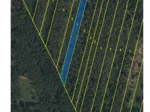 Prodej lesa, Třeboň - Břilice, 32388 m2