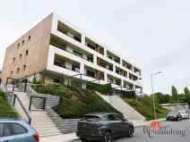 Pronájem bytu 3+kk, Plzeň - Východní Předměstí, Kartónová, 104 m2
