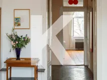 Prodej bytu 1+1, Praha - Karlín, Hybešova, 51 m2
