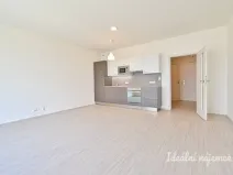 Pronájem bytu 1+kk, Brno, Sportovní, 39 m2
