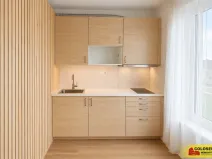 Pronájem bytu 1+kk, Brno - Staré Brno, 27 m2