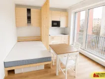 Pronájem bytu 1+kk, Brno - Staré Brno, 27 m2