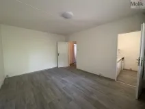 Pronájem bytu 1+kk, Bílina - Pražské Předměstí, Alšova, 27 m2