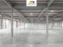 Pronájem výrobních prostor, Mošnov, 40000 m2