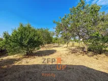 Prodej zahrady, Znojmo, 1372 m2