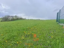 Prodej pozemku pro bydlení, Bruzovice, 4261 m2