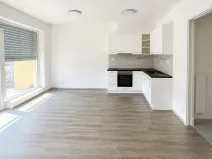 Pronájem bytu 1+kk, Brno, Ondřeje Sekory, 41 m2