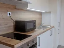 Pronájem bytu 1+kk, Ostrava - Přívoz, Palackého, 26 m2
