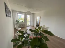 Prodej bytu 1+1, Praha - Chodov, Bachova, 43 m2