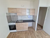 Pronájem bytu 1+1, Chomutov, Dřínovská, 37 m2