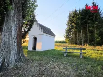 Prodej zahrady, Bělá nad Radbuzou, 6001 m2