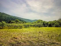 Prodej pozemku pro bydlení, Štěpánovice, 2701 m2