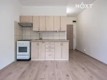 Pronájem bytu 1+1, Žatec, Volyňských Čechů, 36 m2