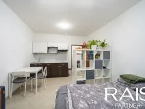 Prodej bytu 1+kk, Brno, Svitavská, 30 m2