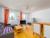 Prodej bytu 2+kk, České Budějovice - České Budějovice 3, Riegrova, 46 m2