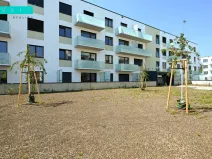 Pronájem bytu 2+kk, Olomouc - Nová Ulice, Třída Jiřího Pelikána, 44 m2