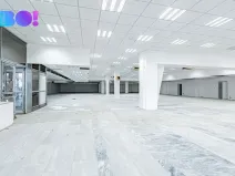 Pronájem skladu, Opava, Ratibořská, 2029 m2