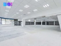 Pronájem obchodního prostoru, Opava, Ratibořská, 2029 m2