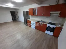 Pronájem bytu 2+kk, Ústí nad Labem - Ústí nad Labem-centrum, Jateční, 75 m2