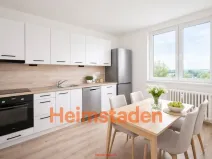 Pronájem bytu 2+1, Havířov - Město, Alšova, 50 m2
