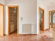 Pronájem bytu 3+kk, Praha - Vinohrady, Lužická, 101 m2