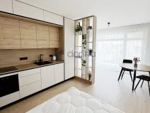 Pronájem bytu 1+kk, Praha, Jáchymovská, 33 m2
