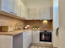 Pronájem bytu 1+kk, České Budějovice, Rudolfovská tř., 36 m2