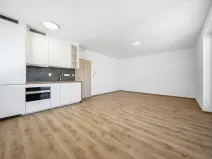 Pronájem bytu 1+kk, Holice, 46 m2