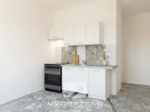 Prodej podílu 1/16 bytu 1+1, Ústí nad Labem - Mojžíř, 40 m2