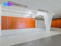 Pronájem obchodního prostoru, Frýdek-Místek, Frýdlantská, 20 m2