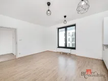 Pronájem bytu 1+kk, Plzeň - Jižní Předměstí, Železná, 28 m2