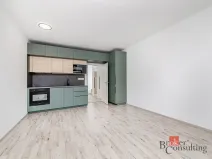 Pronájem bytu 1+kk, Plzeň - Jižní Předměstí, Železná, 38 m2