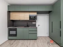 Pronájem bytu 1+kk, Plzeň - Jižní Předměstí, Železná, 38 m2