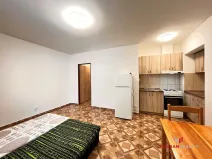 Pronájem bytu 1+kk, Hradec Králové - Plotiště nad Labem, 26 m2