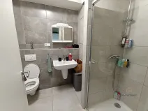 Pronájem bytu 1+kk, Plzeň - Bolevec, Studentská, 28 m2