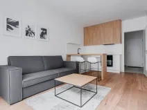 Pronájem bytu 1+kk, Praha - Karlín, Pernerova, 30 m2