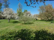 Prodej pozemku pro bydlení, Protivín, 1134 m2