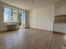 Prodej bytu 2+kk, Havířov, Elišky Krásnohorské, 37 m2